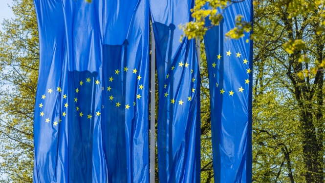 ES karogi